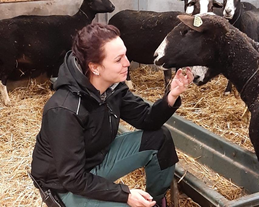 Foto van begeleider Lizzy in de stal tussen de dieren